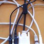Photo of Vtc