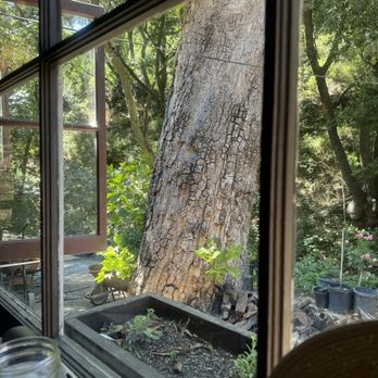 Cold Spring Tavern - Our window - American Near Me - Santa Barbara, California