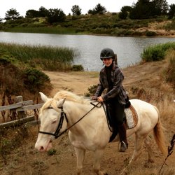 Lessons With Denise - On the trail with Buddy
