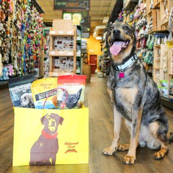 Hollywood Feed - Pet Stores Near Me - Charlotte, North Carolina Hollywood Feed - Pet Stores Near Me - Charlotte, North Carolina