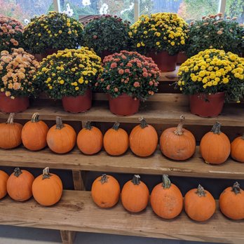 Riamede Farm - Pick Your Own Farms Near Me - Chester, New Jersey Riamede Farm - Pick Your Own Farms Near Me - Chester, New Jersey