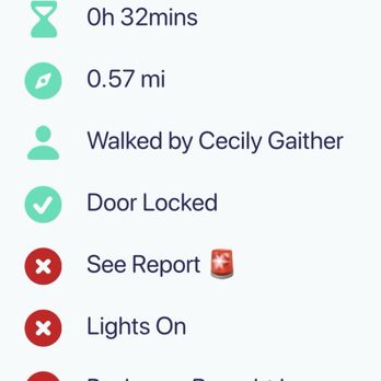Paw Picked Pet Care - Her walk don't add up - Dog Walkers Near Me