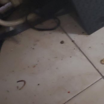 Wave House Cleaning - Trash left on the floor - Home Cleaning Near Me Wave House Cleaning - Trash left on the floor - Home Cleaning Near Me