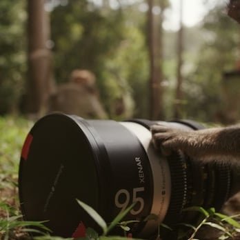 Sweatpants Media - A quiet moment filming in Cambodia exploring the Schneider Cine Xenar III lens. - Video/Film Production Near Me - Long Beach, California Sweatpants Media - A quiet moment filming in Cambodia exploring the Schneider Cine Xenar III lens. - Video/Film Production Near Me - Long Beach, California