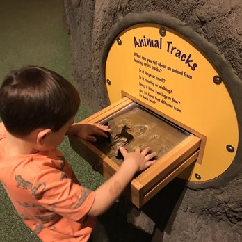 Tellus Science Museum - Pull out drawers on the giant tree to learn more about nature. - Museums Near Me - Cartersville, Georgia Tellus Science Museum - Pull out drawers on the giant tree to learn more about nature. - Museums Near Me - Cartersville, Georgia