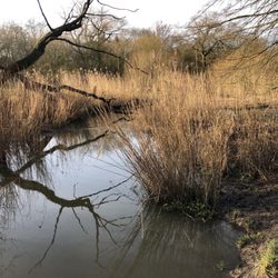 Naturschutzgebiet Flottbektal