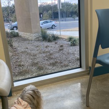 San Antonio Humane Society - Nice view out window - Animal Shelters Near Me - San Antonio, Texas