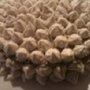 Photo of Buttersweet Bakery