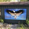 Hawk Creek Wildlife Center gift card