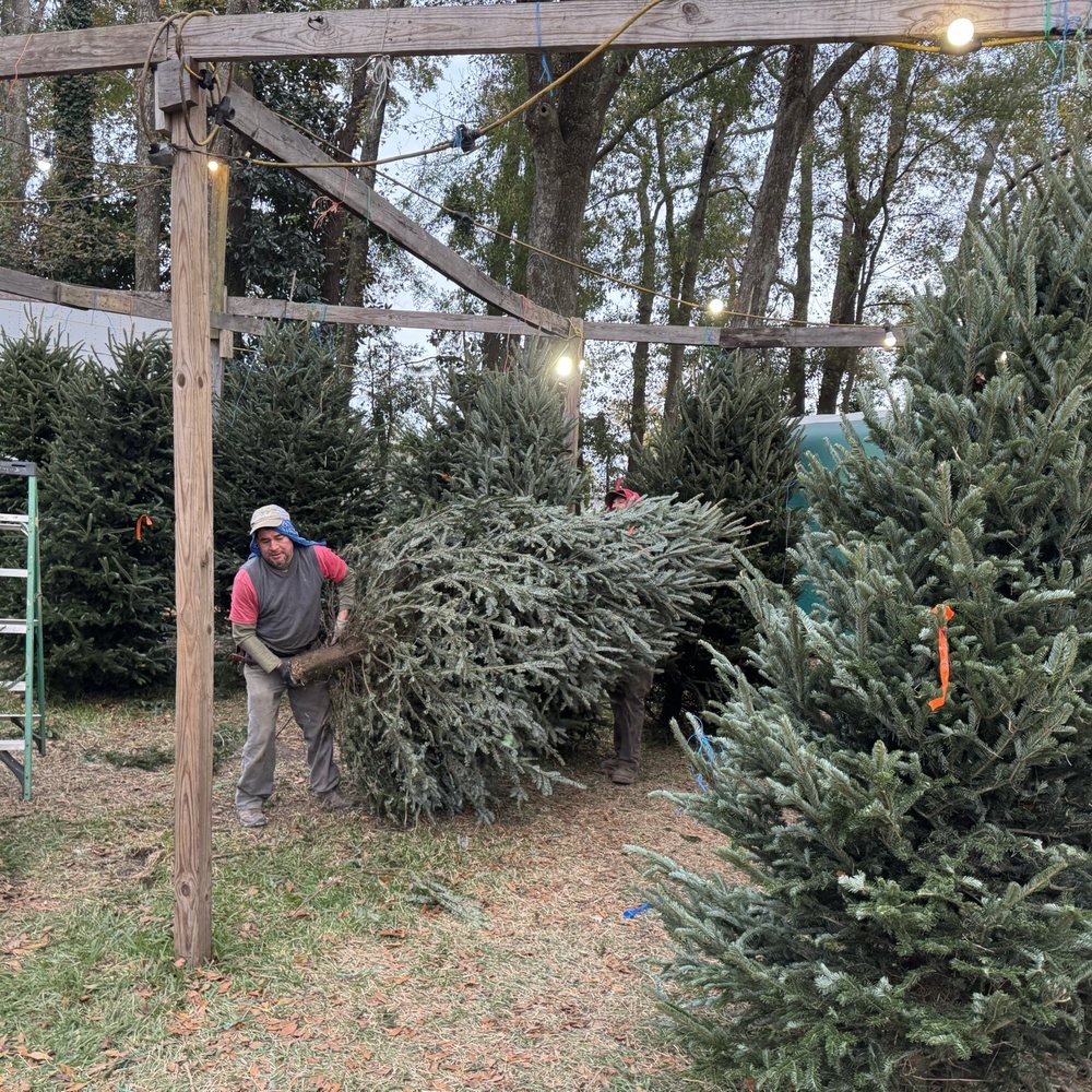 Grande LIVING Early Summer 2023 by ROX Media - Issuu, image size:1000x1000