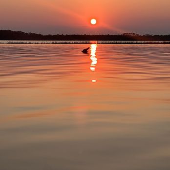 Tomoka State Park - Parks Near Me - Ormond Beach, Florida