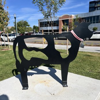 Douglas County Libraries - Castle Rock - Decor - ring the cowbell! - Libraries Near Me - Castle Rock, Colorado Douglas County Libraries - Castle Rock - Decor - ring the cowbell! - Libraries Near Me - Castle Rock, Colorado