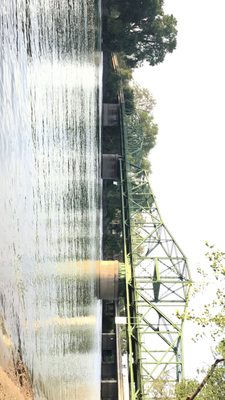 Tiscornia Park by null