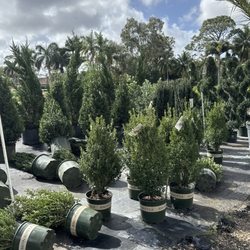 Gardening Angel Nursery