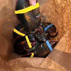 Dockside Seafood Marketplace