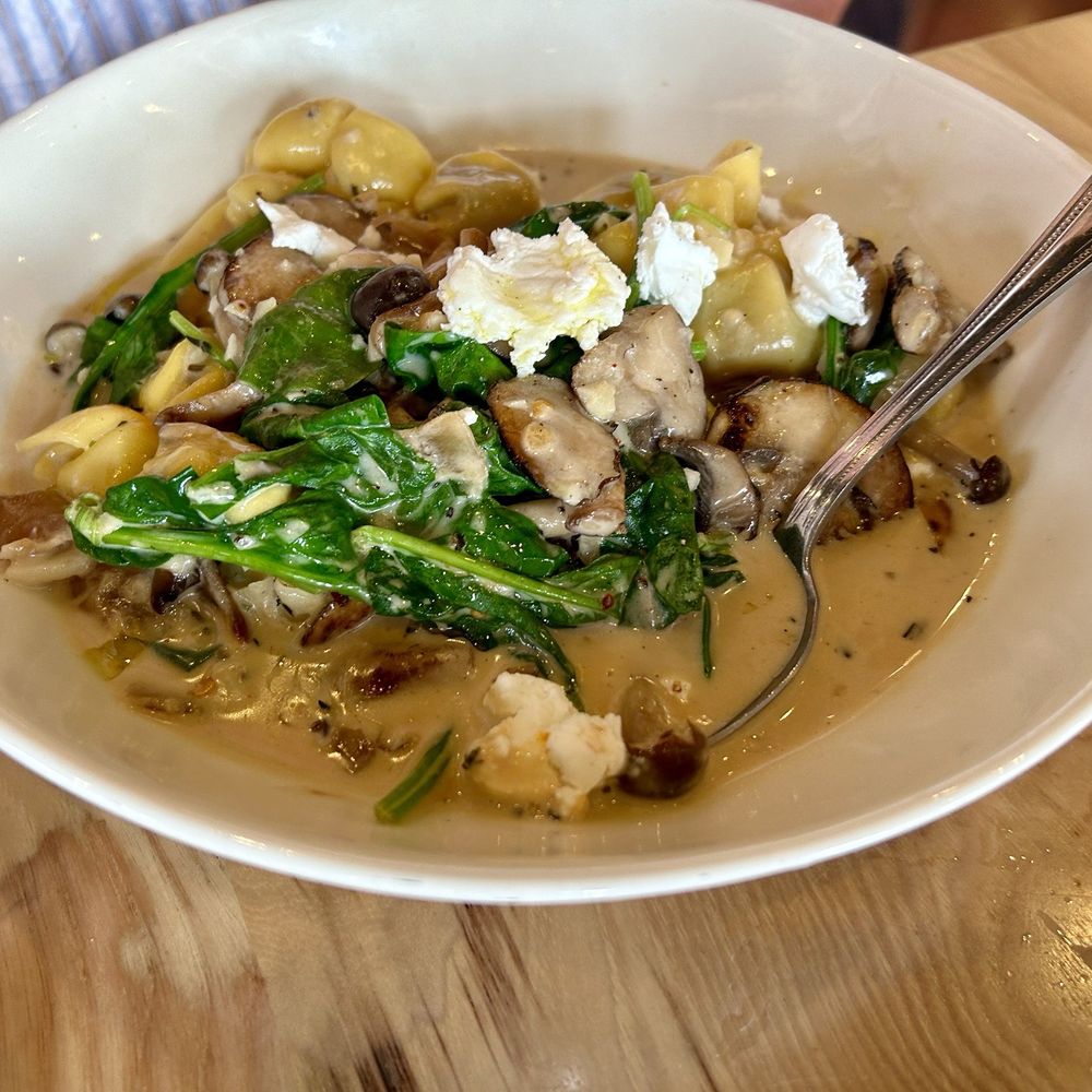 Gia Mia - Wild Mushroom Sacchetti - Pizza Near Me - Downers Grove, Illinois Gia Mia - Wild Mushroom Sacchetti - Pizza Near Me - Downers Grove, Illinois