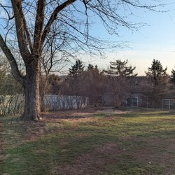 Bair's Tree & Lawn Service