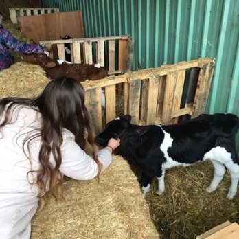 Lee Farms - Petting zoo - Christmas Trees Near Me - Tualatin, Oregon Lee Farms - Petting zoo - Christmas Trees Near Me - Tualatin, Oregon