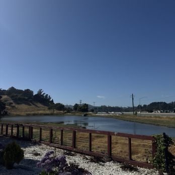 Show de Carnes - Steakhouses Near Me - Sausalito, California