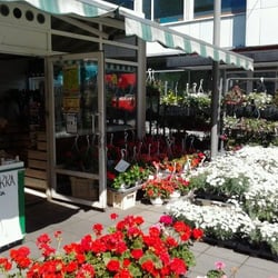 Jorintori Tapiola