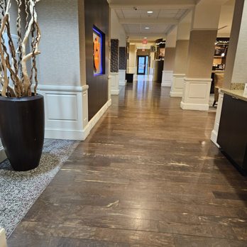 Courtyard by Marriott Clemson - Lobby - Hotels Near Me - Clemson, South Carolina