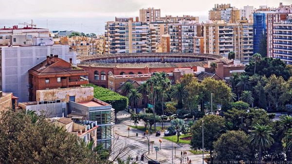 Castillo de Gibralfaro by null