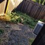 Photo of Granados Landscaping