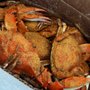 Photo of Tyler's Tackle Shop & Crab House
