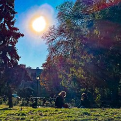 Tompkins Square Park - Daytime sun. Fall 2024