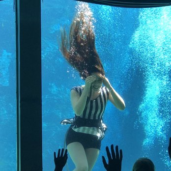Weeki Wachee Springs - Sirena moderna - Amusement Parks Near Me - Spring Hill, Florida