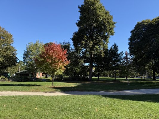 Dufferin Grove Park by null