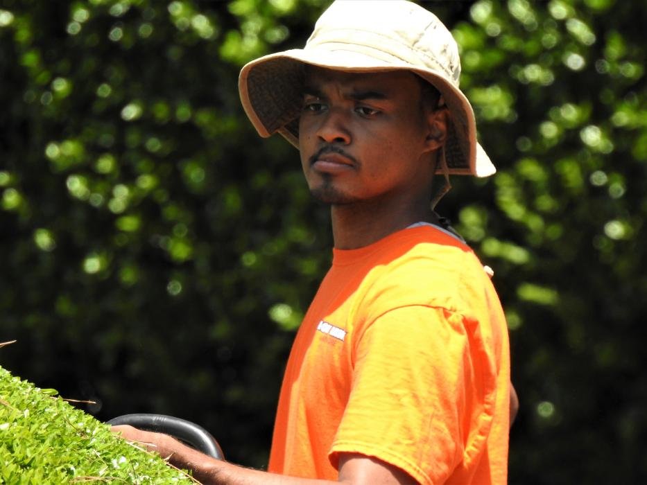 MOW HAWK LAWN CARE Updated August 2024 71 Photos 2104 Sharon St