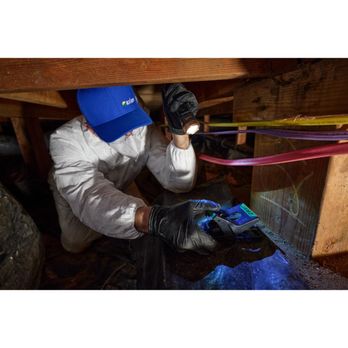 Axiom Eco-Pest Control - Pest Control Near Me