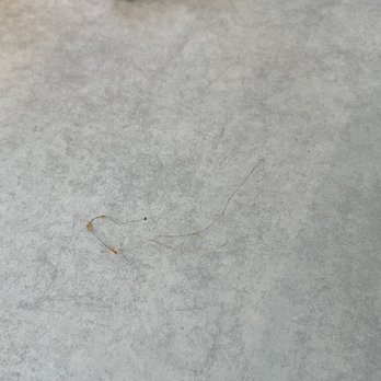 KFC - Hair found near my Spicy Chicken Sandwich - Fast Food Near Me - Hemet, California KFC - Hair found near my Spicy Chicken Sandwich - Fast Food Near Me - Hemet, California