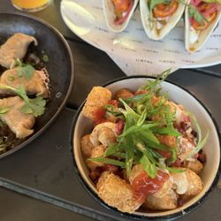 National at Westhills - Top: shrimp taco Bottom: okonomiyaki tater tots