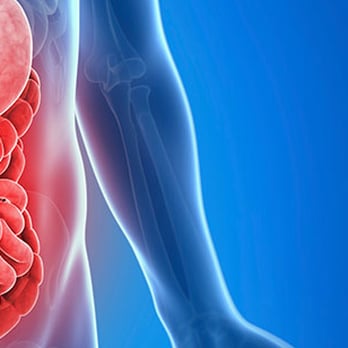 Connecticut GI - Gastroenterologist Near Me - Bloomfield, Connecticut Connecticut GI - Gastroenterologist Near Me - Bloomfield, Connecticut