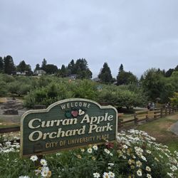Curran Apple Orchard - Twisted Cider 5k and 12k today! July 26, 2025