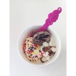 Cake Batter, Ice Cream Sandwich, and Cheesecake Yogurt. Topped with rainbow and chocolate sprinkles, Reese's, and Mochi
