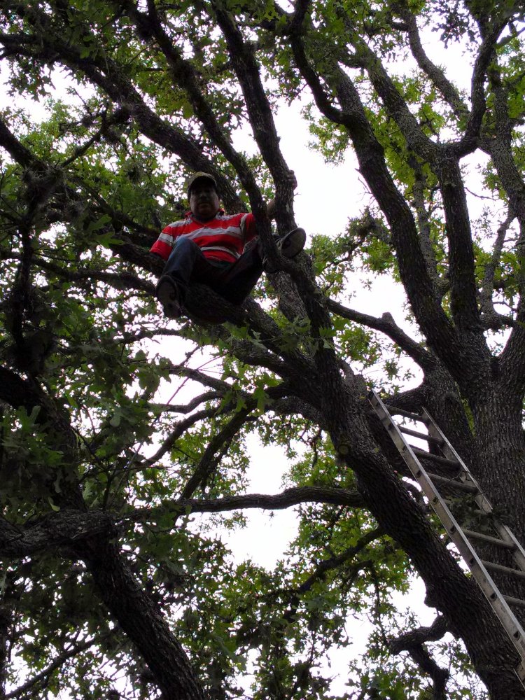 Slide of Flores Landscaping