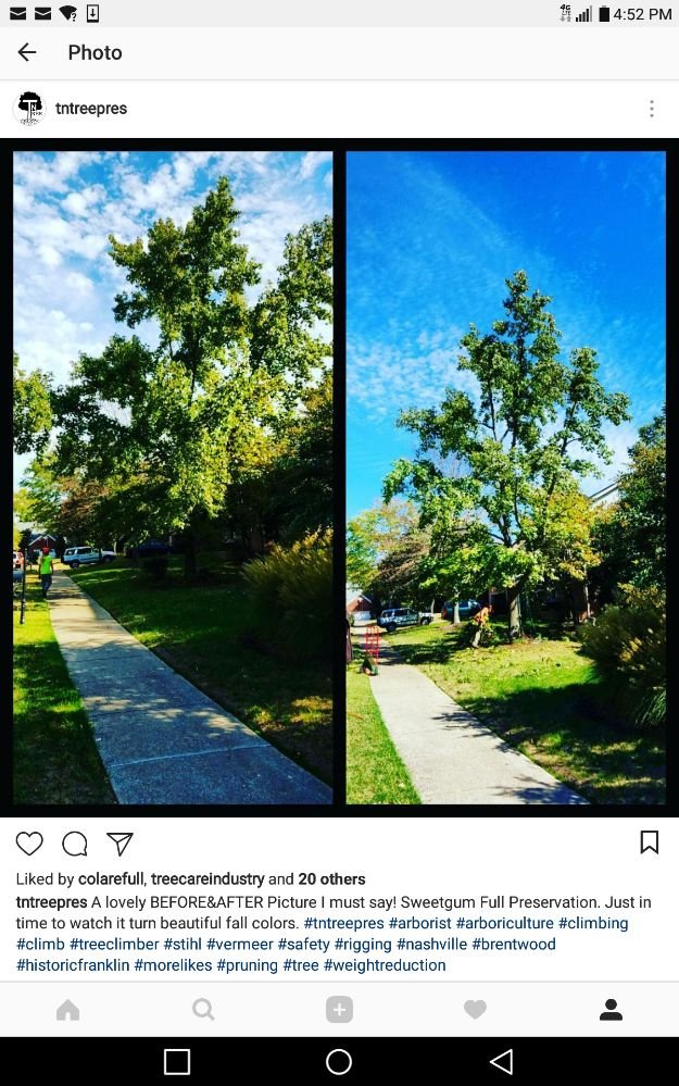 TN Tree Preservation - tree service in College Grove, TN