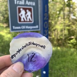 Devil's Back Trail - #purpleshellsofharpswell drop off