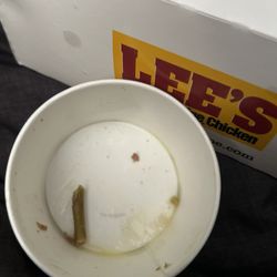 Lee's Famous Recipe Chicken - Found a tree branch piece in my green beans