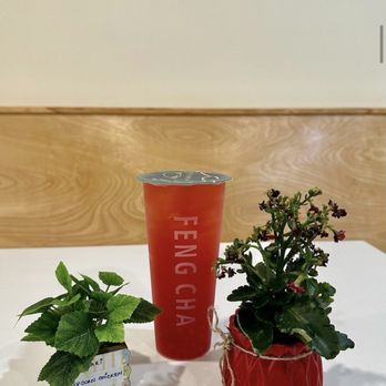Feng Cha Tea House - Bubble Tea Near Me - Dublin, California Feng Cha Tea House - Bubble Tea Near Me - Dublin, California