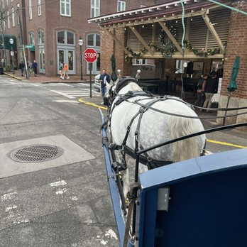 Charleston Carriage Works - Front seat view :) - Tours Near Me - Charleston, South Carolina Charleston Carriage Works - Front seat view :) - Tours Near Me - Charleston, South Carolina