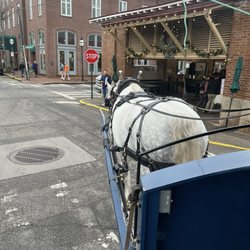 Charleston Carriage Works - Front seat view :)