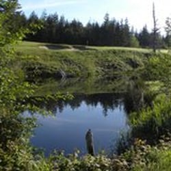 Bandon Crossings Golf Course - #17 is the one to play for an ace - A short hop over the pond to a fun green
