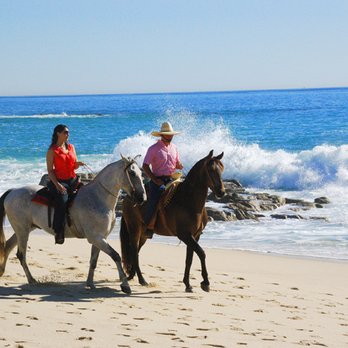 Cuadra San Francisco - Horseback Riding Near Me - San Jose del Cabo, BCS
