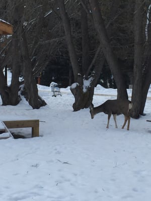Buffalo Nations Museum by null