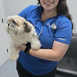 Animal Emergency Hospital & Urgent Care