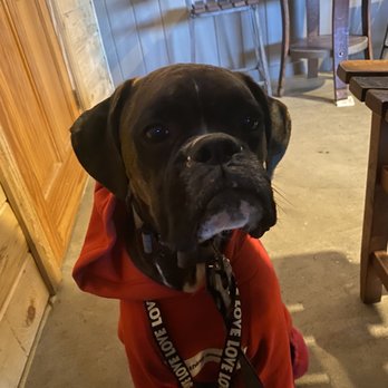 Grumpy Old Men Brewing - Super dog friendly!!! Dogs welcome inside, they have water bowls, and the staff LOVE dogs! - Breweries Near Me - Blue Ridge, Georgia